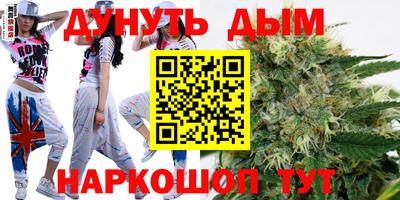 крисы Братск