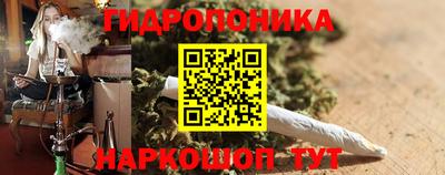 крисы Братск
