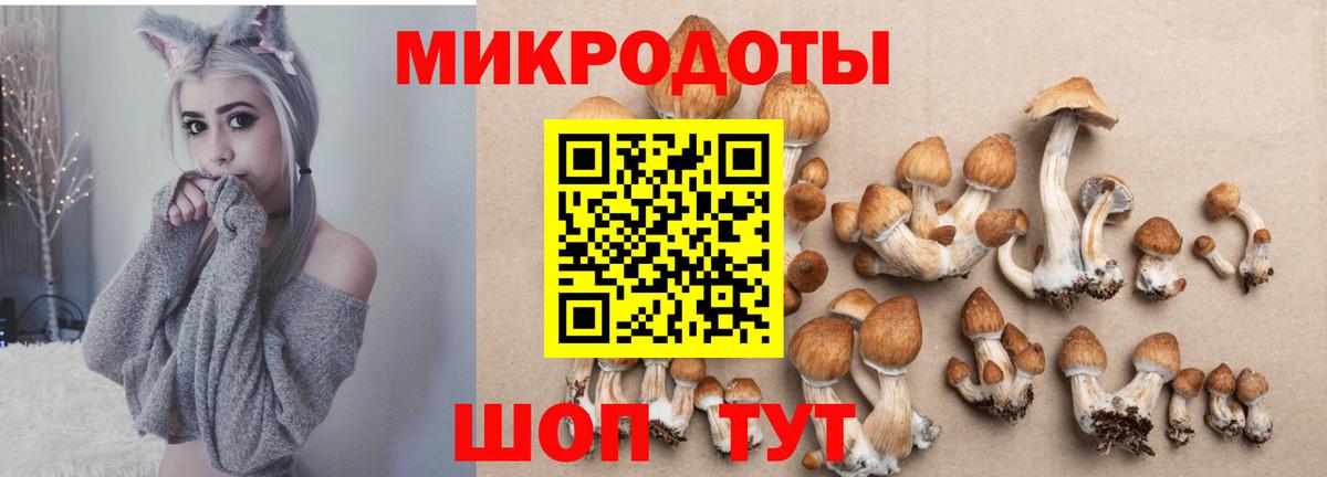 Галлюциногенные грибы Magic Shrooms  Вход с VPN  Сатка 